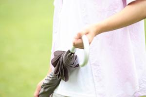 様々なポーズができるステンレス骨格